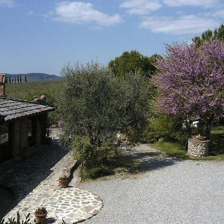 Bed and Breakfast Casa Lucia In Chianti Vagliagli Zewnętrze zdjęcie