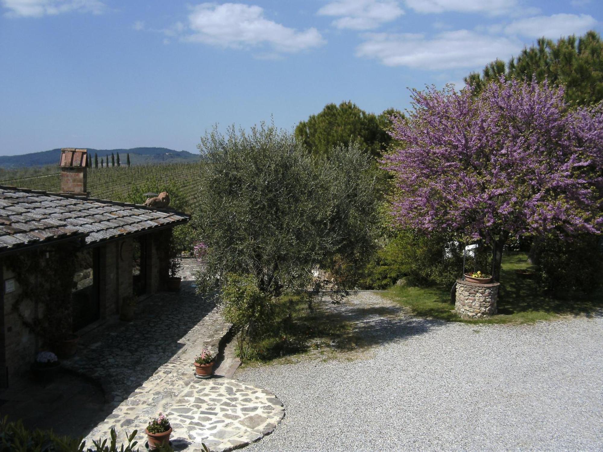 Bed and Breakfast Casa Lucia In Chianti Vagliagli Zewnętrze zdjęcie